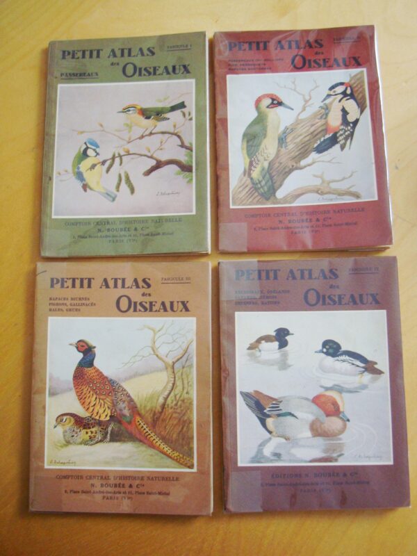 L. Delapchier Petit atlas des oiseaux N. Boubée & Cie 1940 1941 4 tomes complet