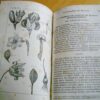 G. Delafosse Précis élémentaire d'Histoire Naturelle 1853 – Image 2