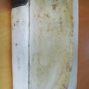 Schannat Historia episcopatus wormatiensis 1734