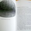 Nicholas Thomas L'Art de l'Océanie – Image 2