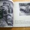 P. Falconnet Le petit éléphant Photographies Ylla 1955 – Image 2