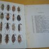 A. Villiers Atlas des hémiptères de France Hétéroptères Gymnocérates 1945 – Image 2