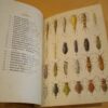 L. Chopard Atlas des aptérygotes et orthoptéroïdes de France 1947 Entomologie – Image 2