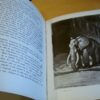 André Demaison La comédie animale illustrations de Henri Deluermoz 1936 – Image 2