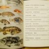 W. Luther K. Fiedler Guide de la faune sous-marine des côtes méditerranéennes – Image 2