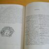 Plutarque Vies des grecs célèbres introduction notes index Humbert 1884 illustré – Image 4