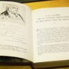 Curnonsky Cuisine et vins de France 1953 – Image 6