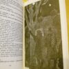 Gaston Leroux Le mystère de la chambre jaune Introduction par G. Sigaux illustrations par A. Vilar Cercle du Bibliophile – Image 2