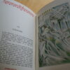 Pierre Louÿs Aphrodite illustrations R. Gay Gravures Nourisson Athêna 1951 – Image 3
