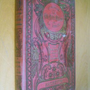 Jules Verne Les cinq cents millions de la Bégum Hachette 1921