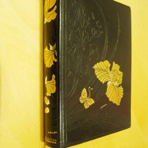 Gustave Flaubert l'éducation sentimentale dessins de Leonard couturier Jean de Bonnot 1981