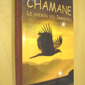 Paul Degryse Chamane Le Chemin des Immortels