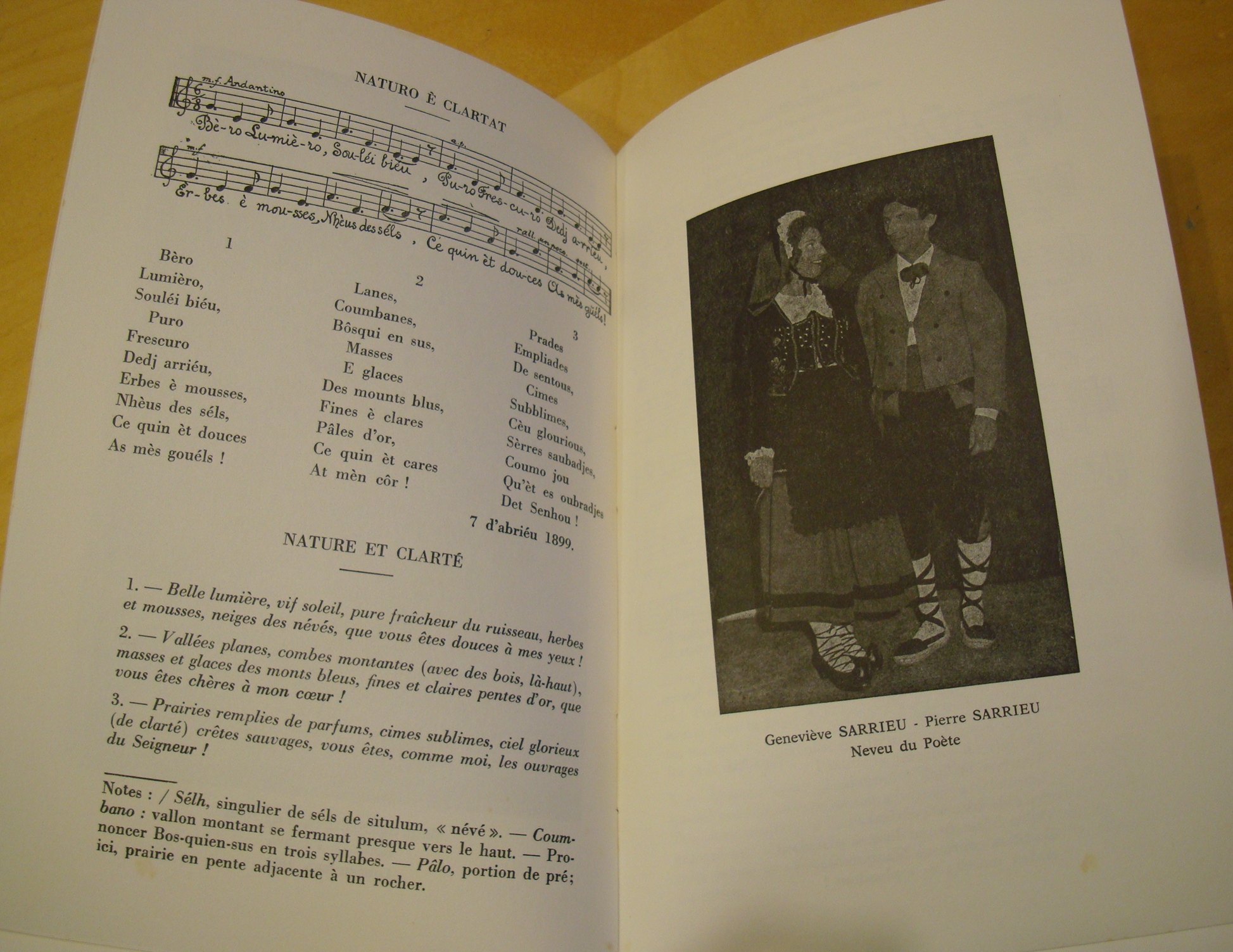 Bernard Sarrieu Morceaux choisis Le Don du poète Hymnes d'amour Les chants des montagnes Fables La Pyreneide – Image 4