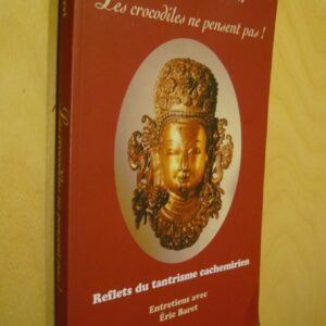 Présentation de Placide Gaboury Les crocodiles ne pensent pas! Reflets du tantrisme cachemirien entretiens avec Éric Baret