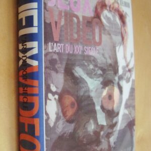 Nic Kelman Jeux video l'Art du XXIe siècle