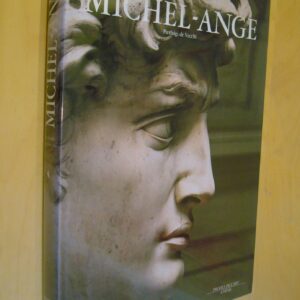 Pierluigi de Vecchi Michel-Ange