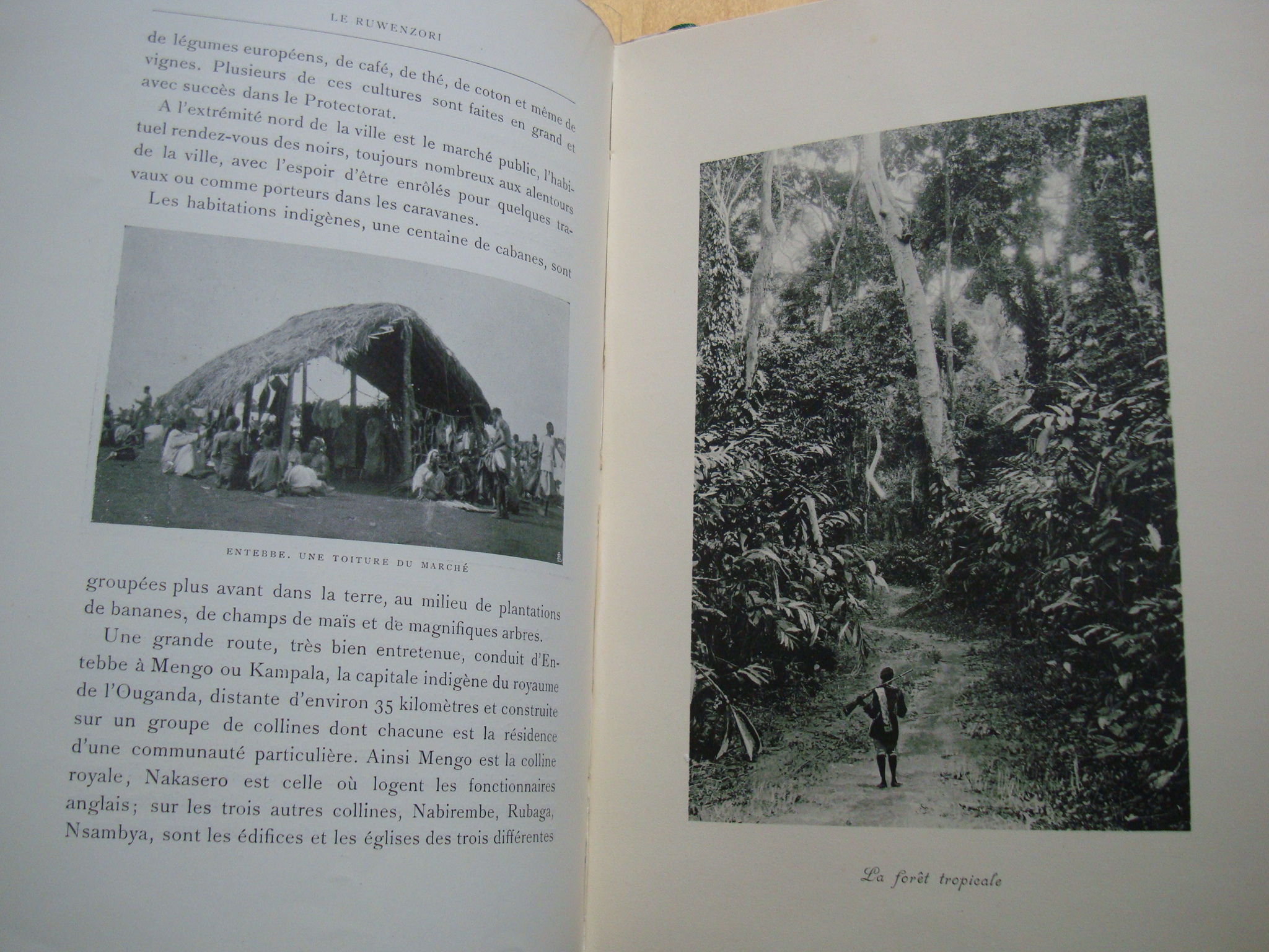 S.A.R. Le Prince Louis-Amédée de Savoie Le Ruwenzori et les Hautes Cimes de l'Afrique centrale – Image 2
